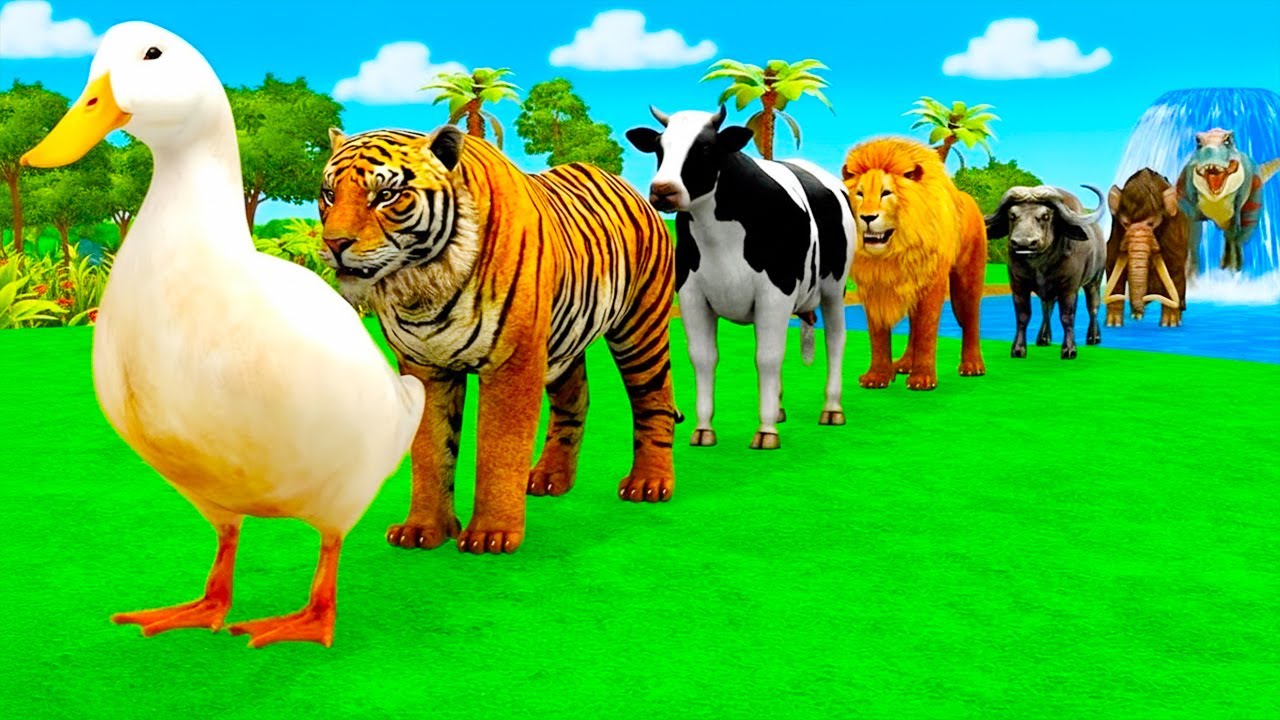 Long Slide Game With Elephant Gorilla Buffalo Hippopotamus Tiger - 3d Animal Game - Funny 3d Animals