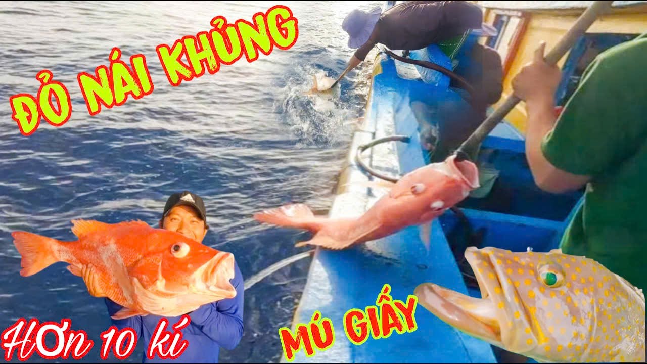 HAND-FISHING TECHNIQUE 11: Mastering the Art of Hooking Live Bait, Luring and Catching Entire Sch...