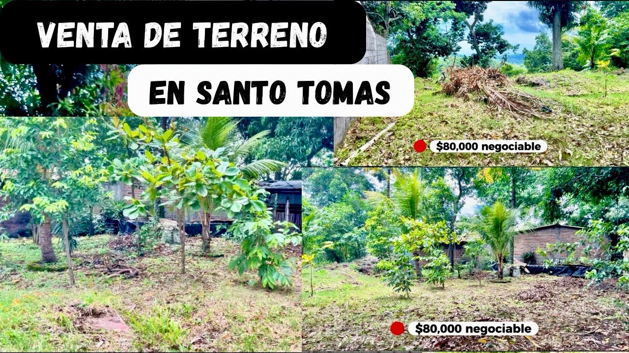 Venta de terreno 80k en Olocuilta, El Salvador 🇸🇻 | llamar a Don Manuel el encargado al +50375428792
