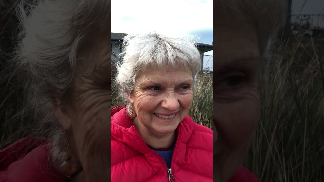 Причина и следствие