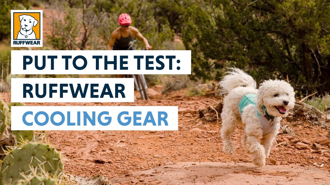 Put to the Test: Ruffwear Cooling Gear