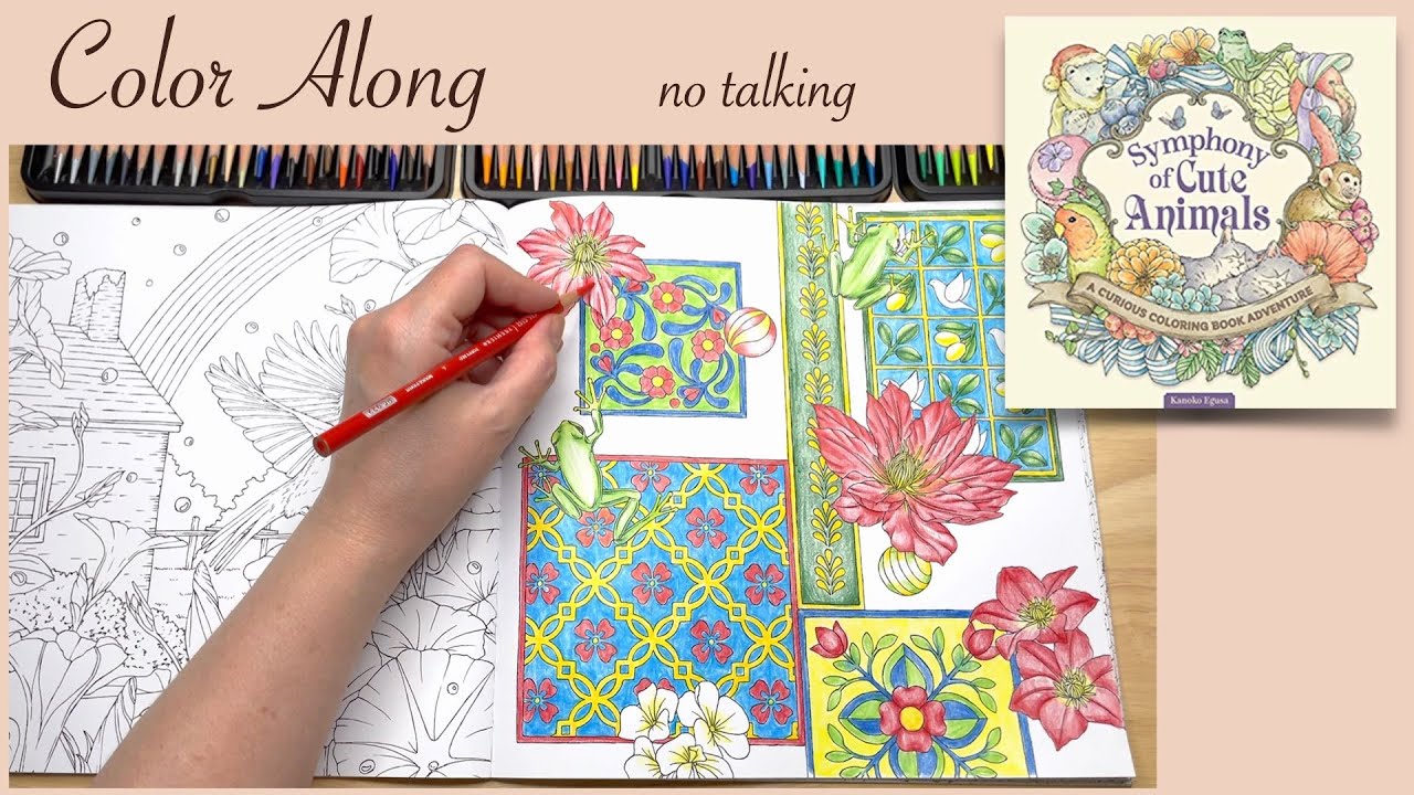 Calming Stress Relief Coloring Along 