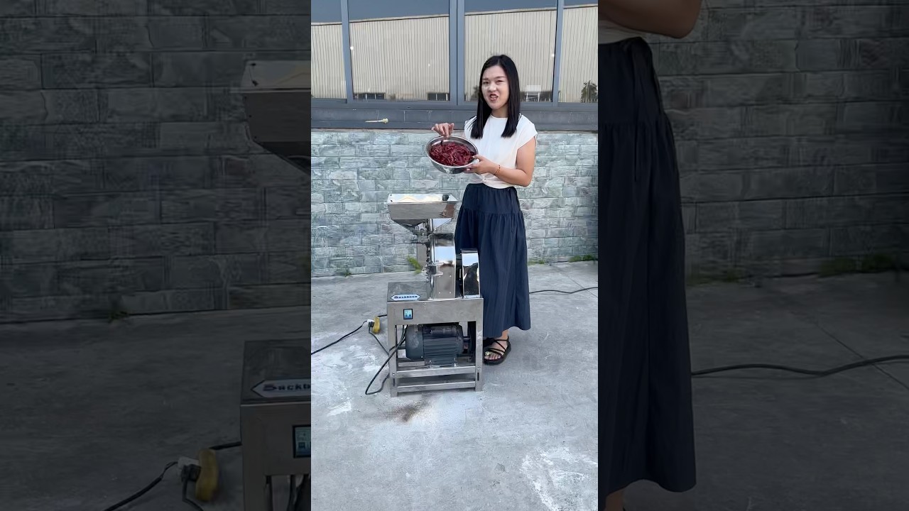 Home use stainless steel grinder for chili powder. #grinder #machine #powder #spices