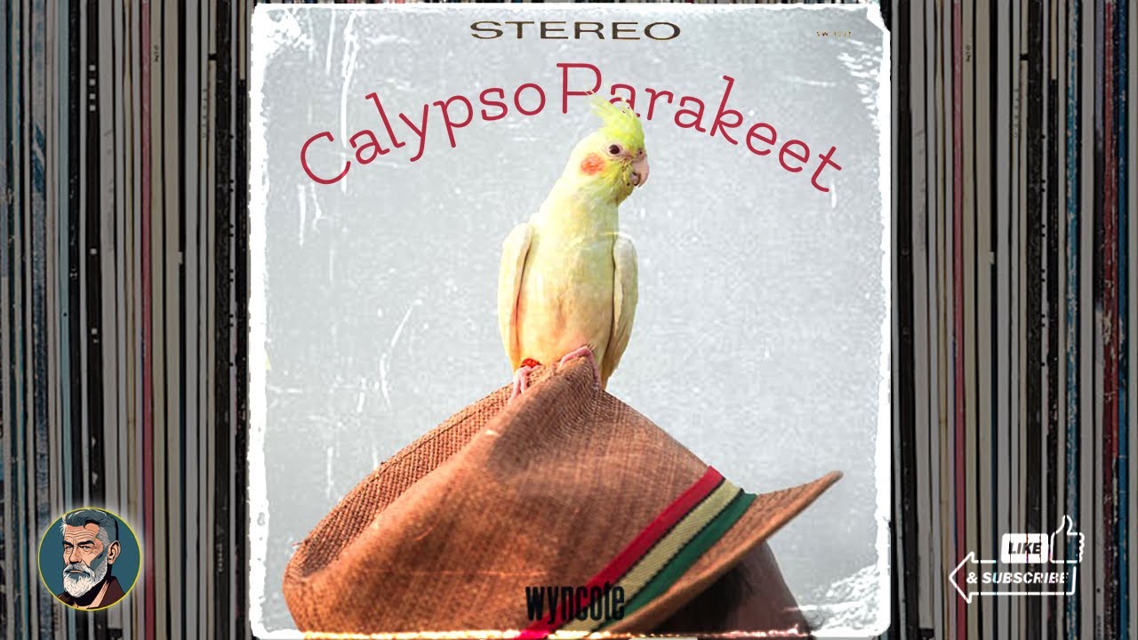 SUPER RARE CALYPSO Patti Brandon - Calypso Parakeet #4k #music