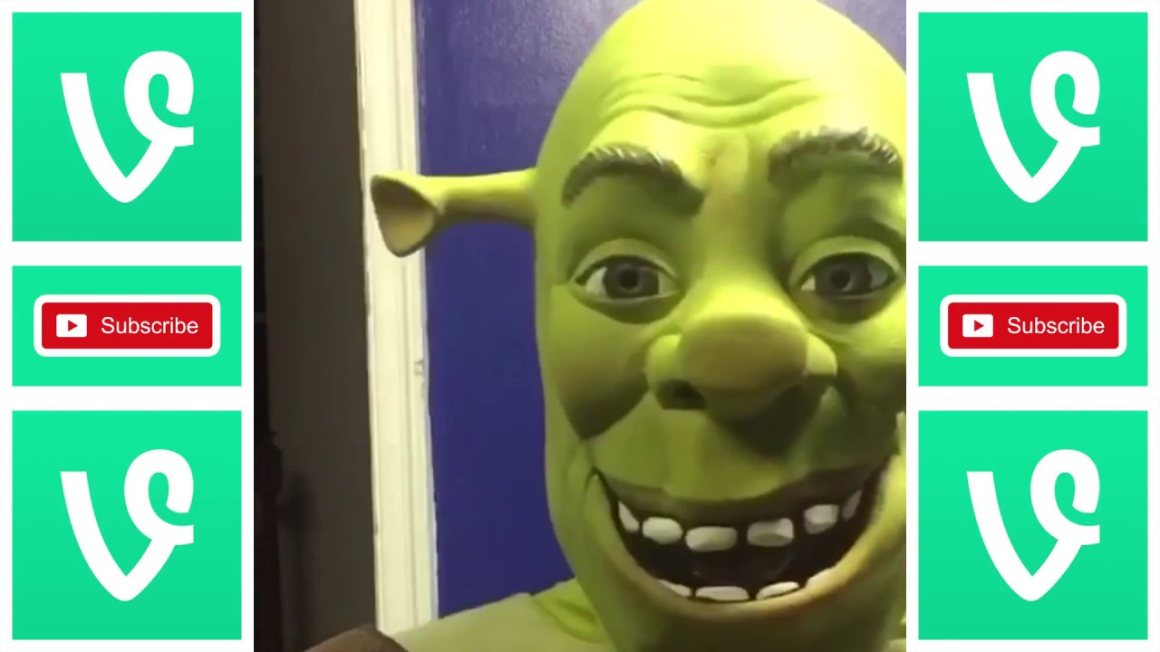LENARR Vine Comp -Most Underrated Hilarious Vines-