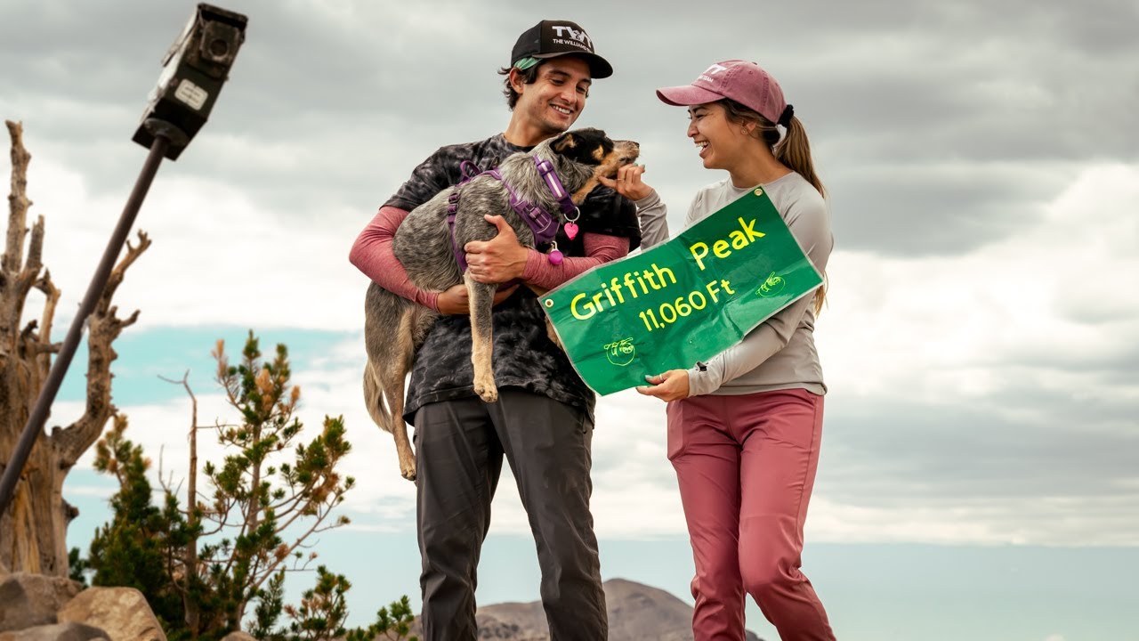 Best Hiking Trails Las Vegas | Mt. Charleston | Griffith Peak Hike!