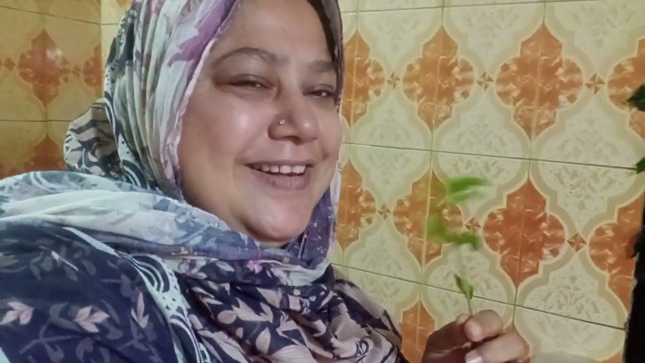 জোরা কবুতরের মতো দু'জন মিলে কি করে সারাদিন 