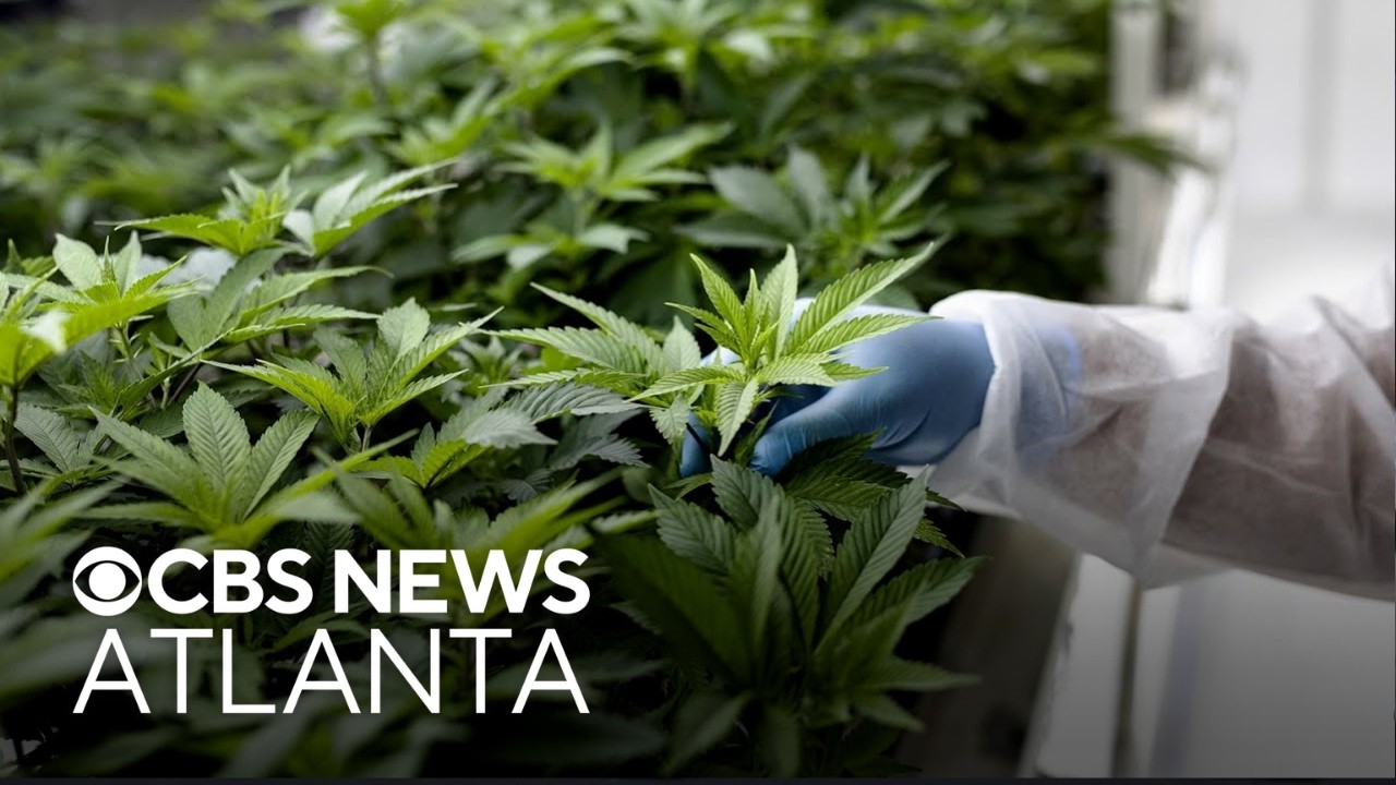 Georgia patients hopeful about recent medical marijuana changes
