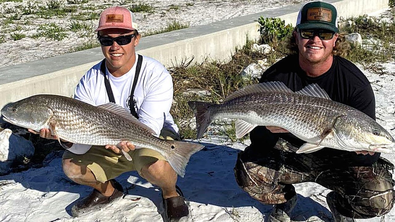 Our Biggest INSHORE SLAM From Land! Tampa Bay Flats Fishing