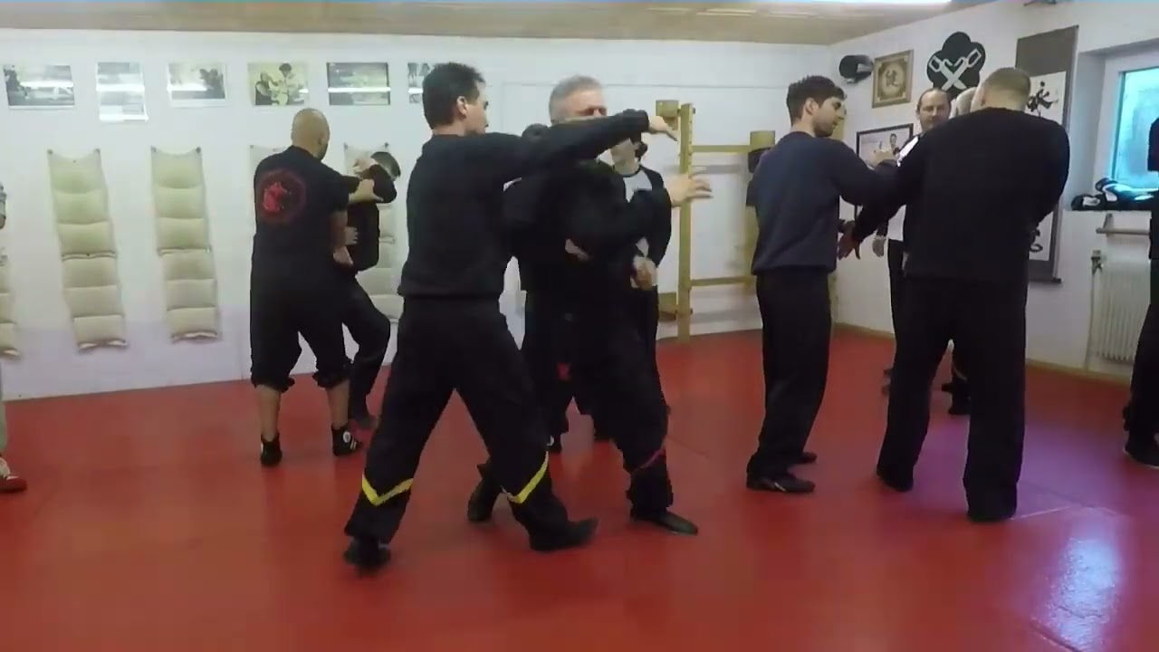 DRAGOS WING TSUN TRAININGS-SESSION Vol1.