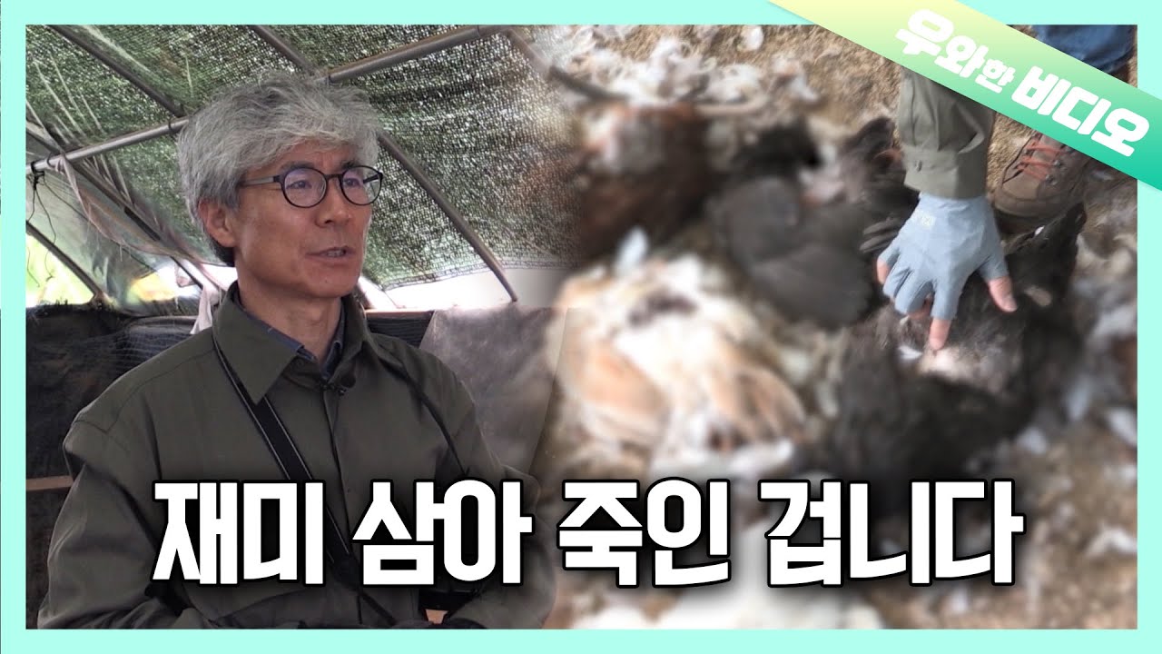 Все о серии терактов, терроризировавших мирную деревню