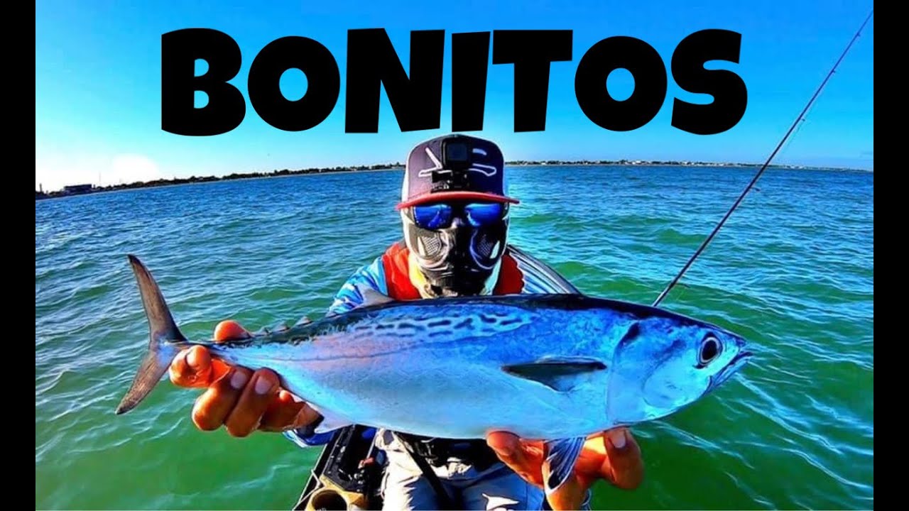 PESCA DESDE KAYAK ,BONITOS EN YUCATAN,MEXICO