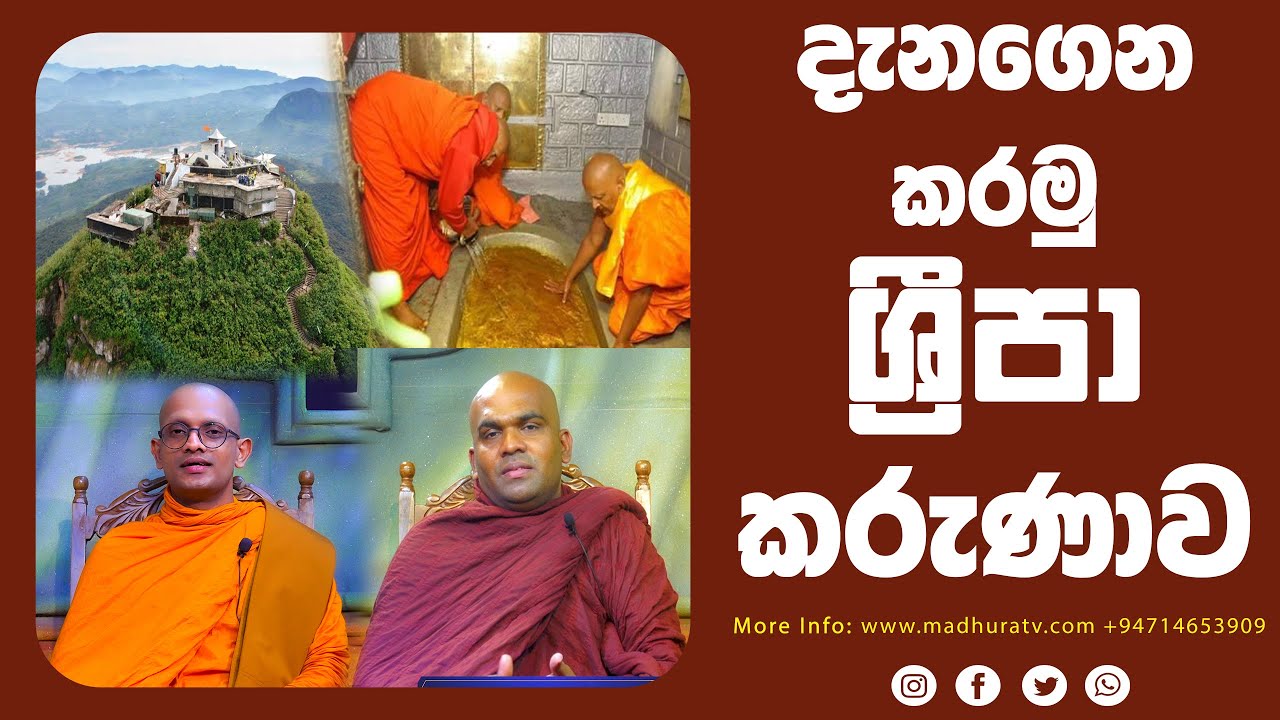 DAMMAGAWESEE | ධම්මගවේසී |දැනගෙන කරමු ශ්‍රීපා කරුණාව | Madhura TV | EP 08 | 2026-01-23