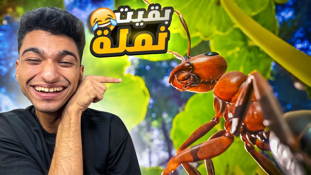تخيل نفسك تكون نمله وتعيش كاملك النمل وتأسس إمبراطورية خاصه بيك وتدافع عنها 🐜 🔥| Empire of the Ants