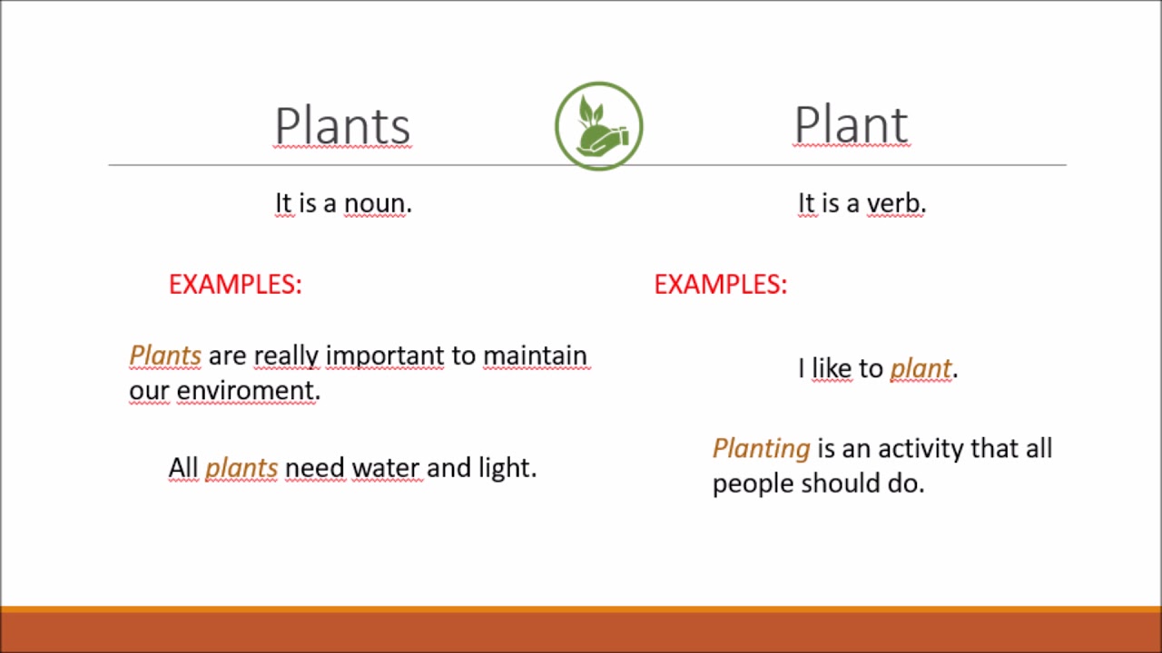 Class 2 -  Vocabulary about agronomy