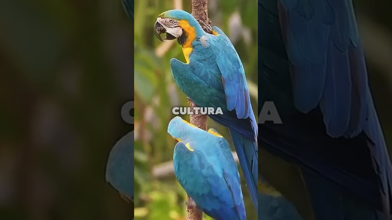 VENEZUELA Es mucho más que un recurso…