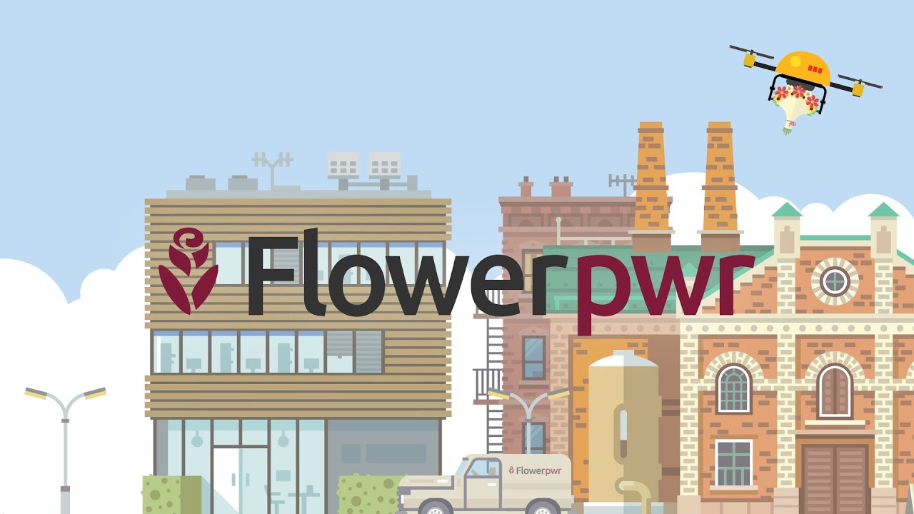 HU DIS 2016 - Flowerpwr