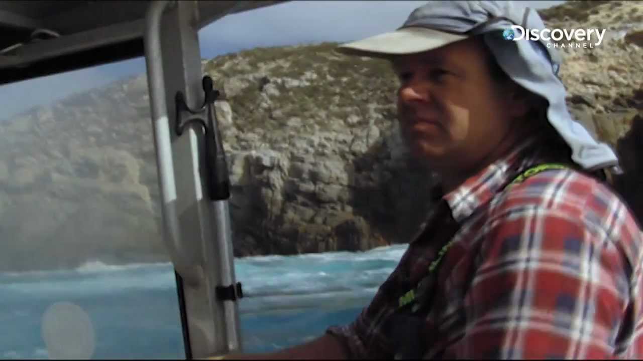 Abalone Wars: Risky Business