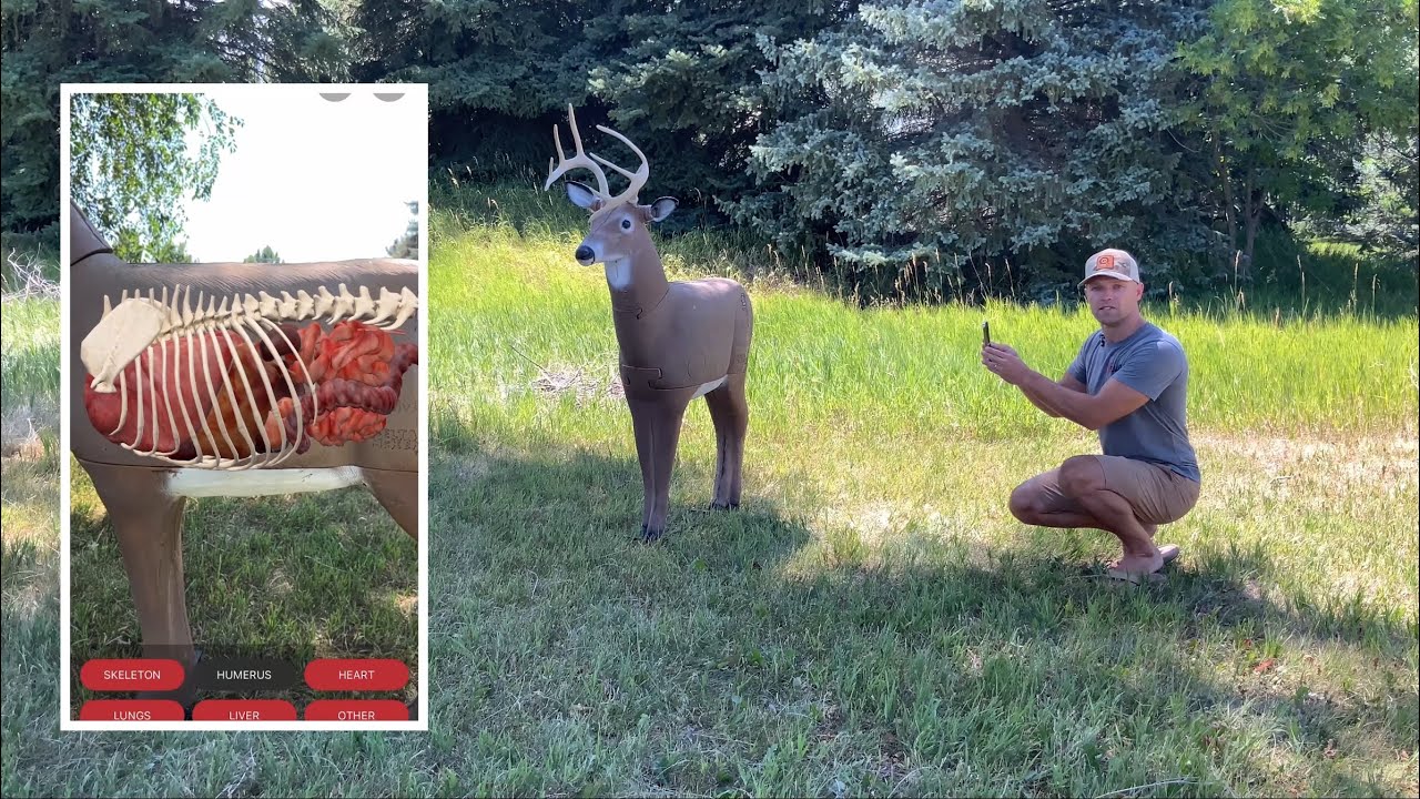 Why Does AR Anatomy Move on QuivAR Targets? Find Out Here!