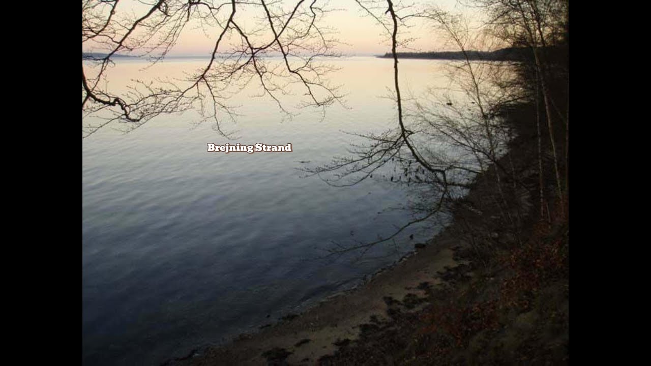 Brejning Strand Vejle Fjord