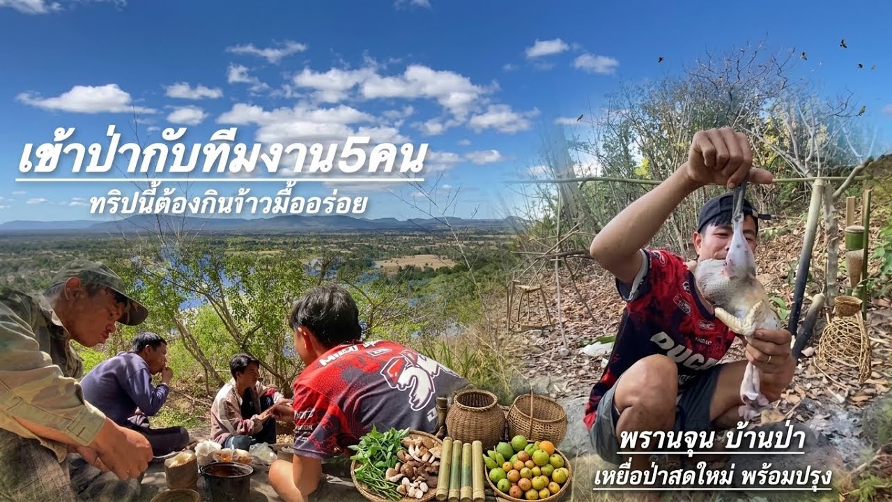 เข้าป่า5คนกับนายพรานไก่ต่อ/ເຂົ້າປ່າ5ຄົນກັບພານໄກ່ຕໍ່