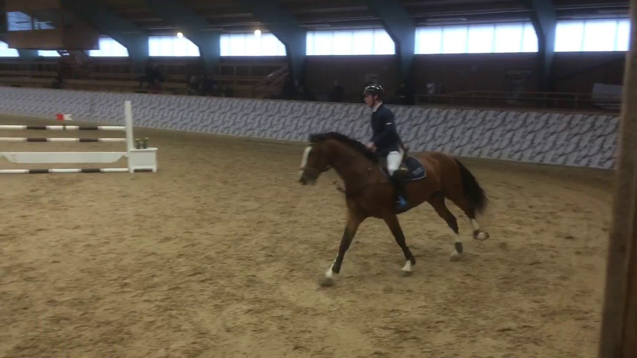 Hemeralds debut på tävling 1 m i Grevagården 18/4 2016