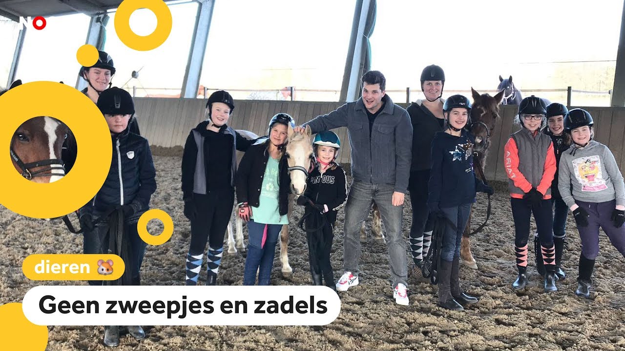 Populair: paardenles zonder op paarden te rijden