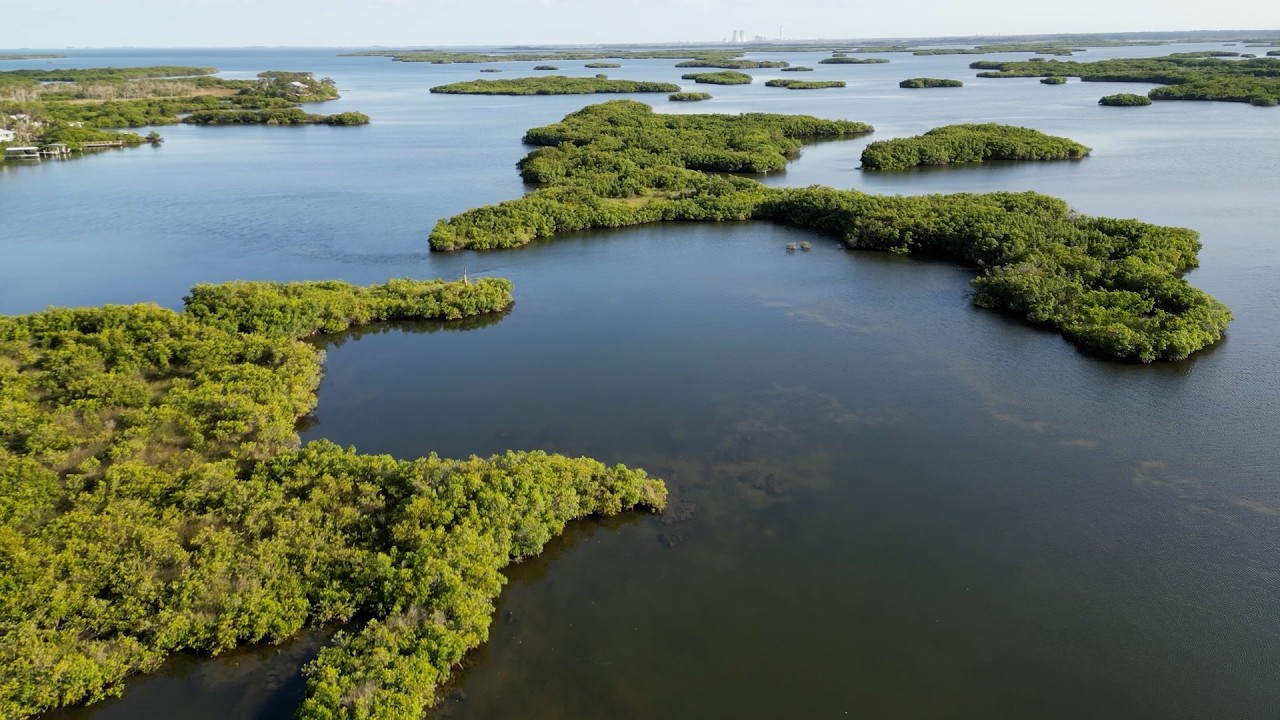 Citrus County In Focus: Pirates Cove, New Fire Station & Road Transparency Portal | March 2026