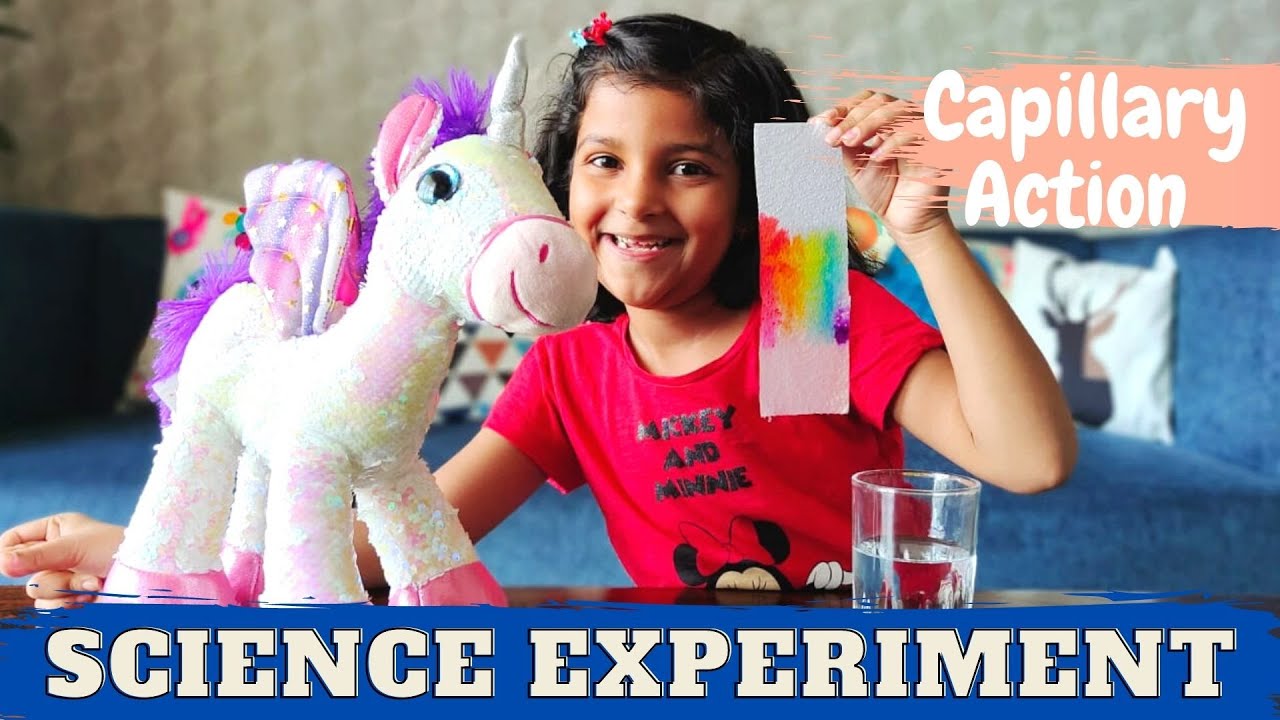 Easy Capillary Action Science Experiments for Kids | Easy Science Experiments for Kids