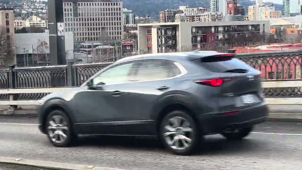 Trimet MAX type 5 part 2