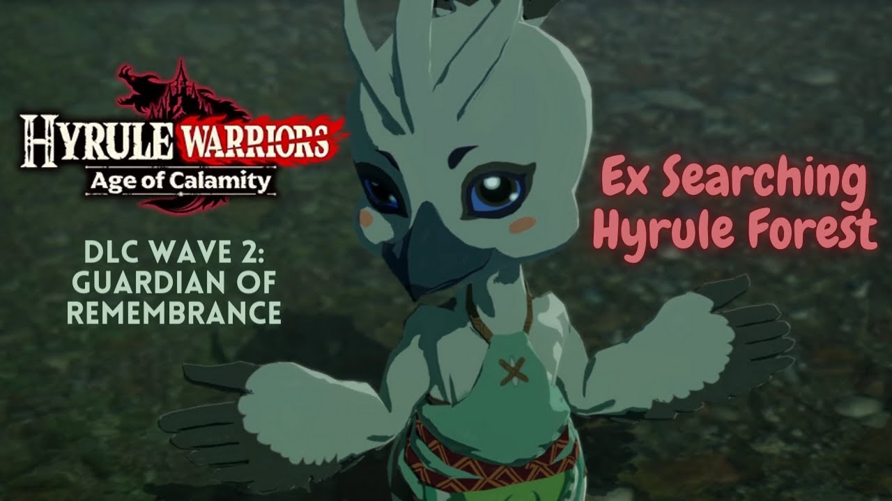 Hyrule Warriors AOC DLC 2: Ex Searching Hyrule Forest