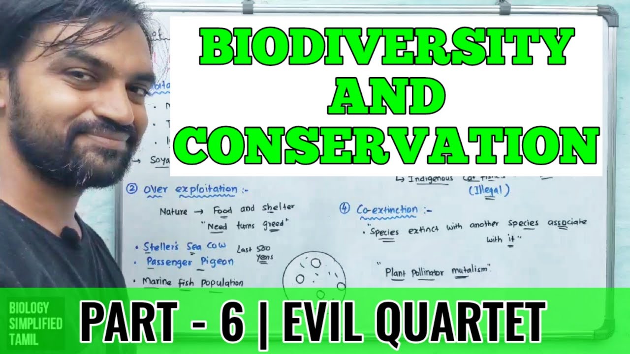 Biodiversity and conservation | Evil quartet