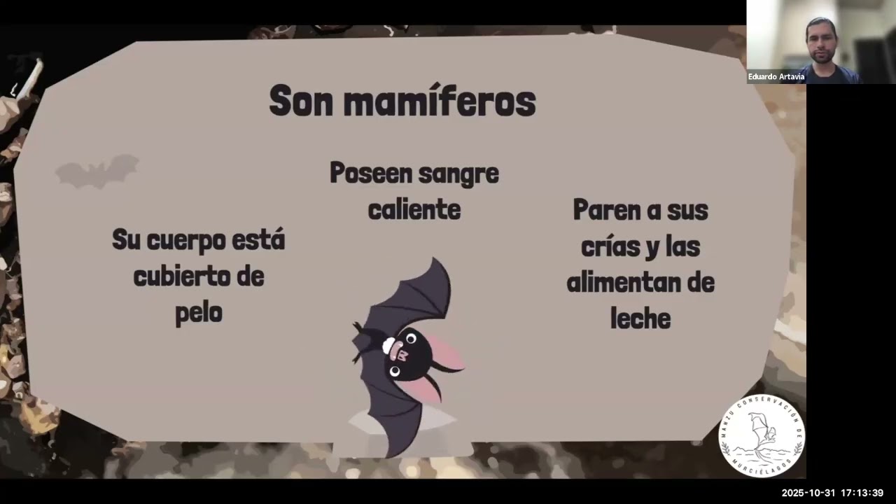 Alas Nocturnas – Explorando la vida secreta de los murciélagos
