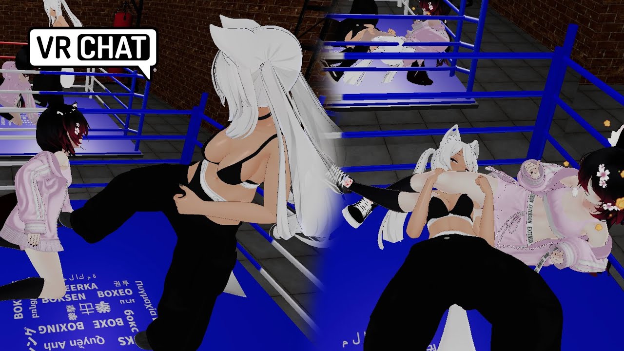 A ranked martial artist gets humbled by a beginner VRchat MMA