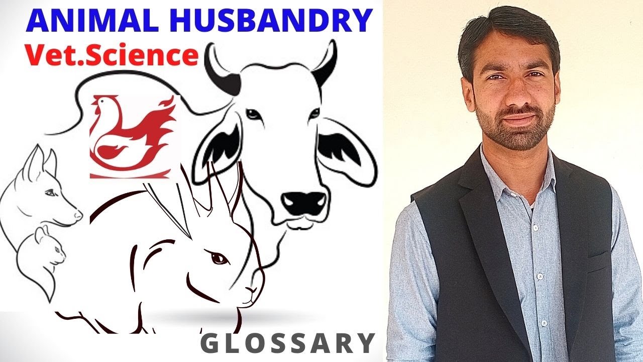 #agriculture #livestock A&B of Animal Husbandry & veterinary sciences. A.I, Ag,Ab, Apoenzyme, ATP..