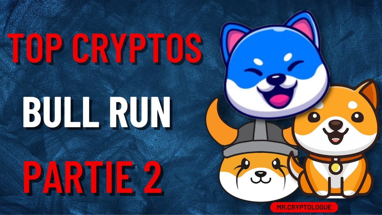 TOP 5 CRYPTOS BULL RUN SELON BSC DAILY [PARTIE 2]