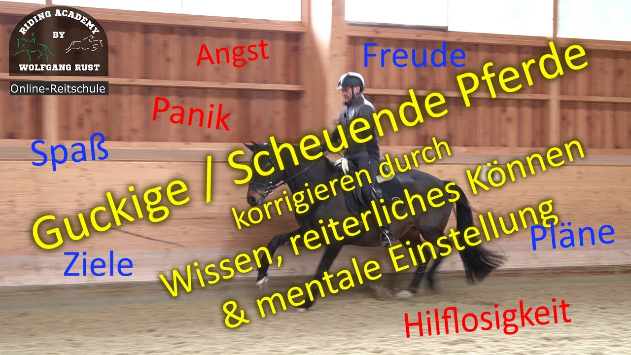 F95 Guckige , nerv&ouml;se Pferde korrigieren & beruhigen lernen. Reitertipps Mentaltipps Reitunterricht