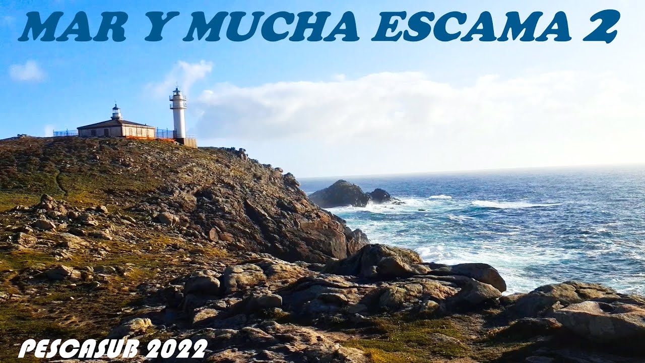 Pescasub 2022 - Mar y Mucha Escama 2