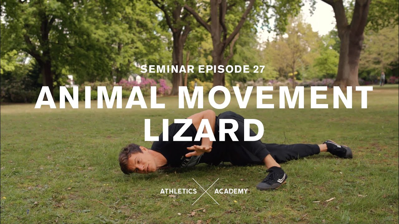 Lernt ANIMAL MOVEMENT für Fortgeschrittene: Der Lizard