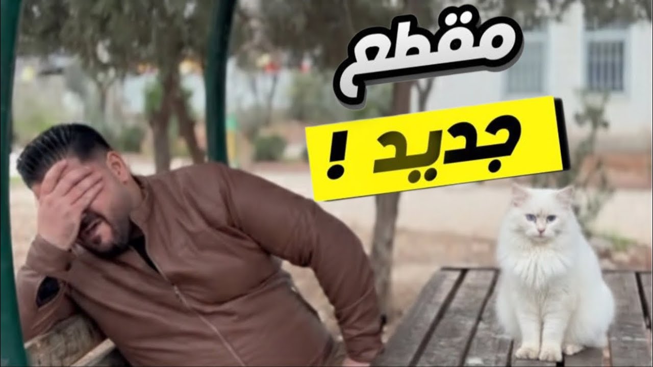 ‏اضحك من قلبك ) ‏فيديو كوميدي وين بدي ألاقيك يا سكر /#اكسبلور ￼￼