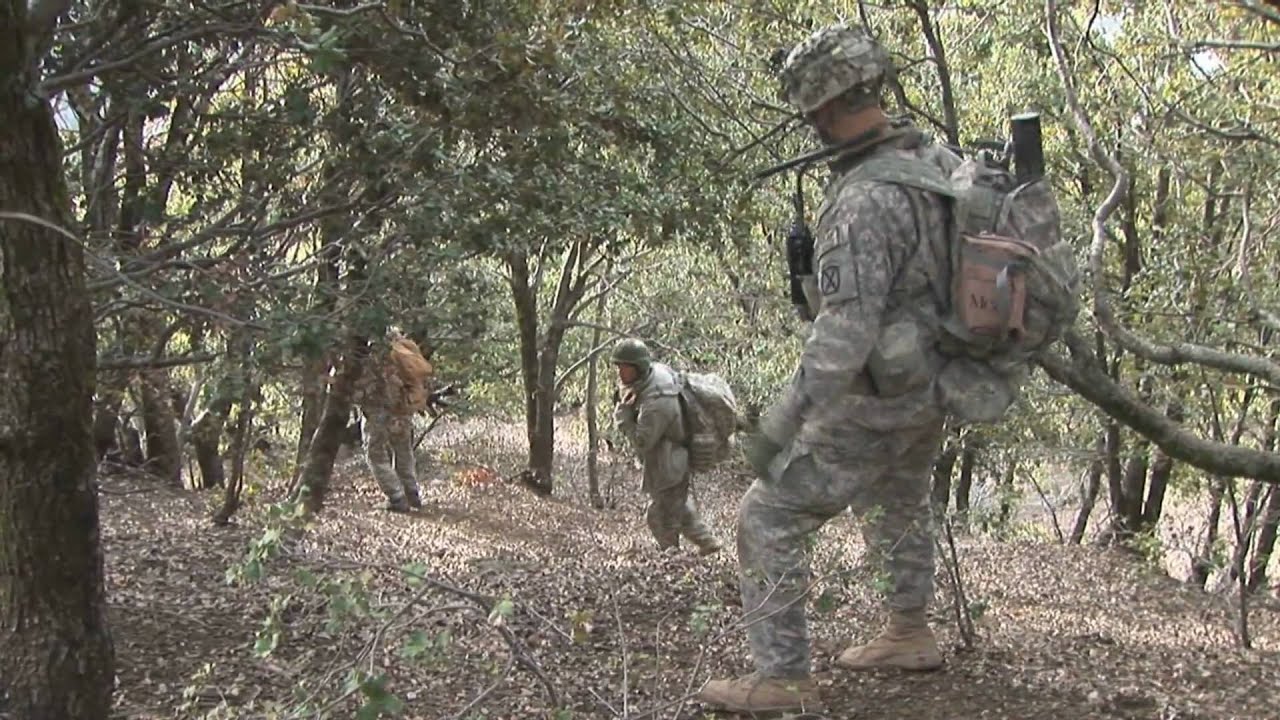 Afghanistans Gray Line: The Education of 
