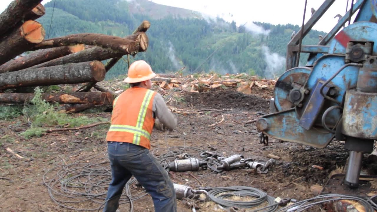 Logger Safety Initiative