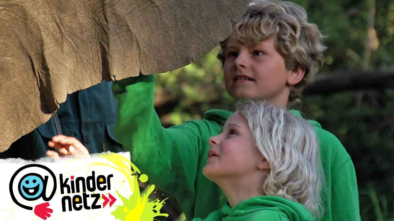 Bei Dickhäutern | Mein Bruder und ich in Südafrika