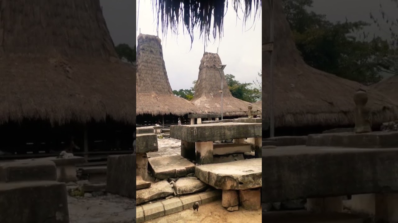 Kampung Tarung #waikabubak #kampungadat #budayasumba #traditional #sumba #sumbaisland #wisatabudaya