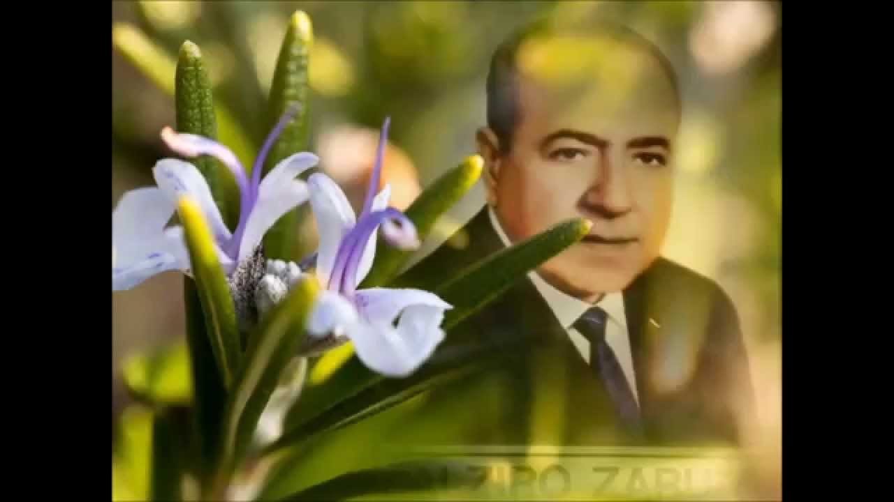 PAZ - Doutrina 1 - ALZIRO ZARUR