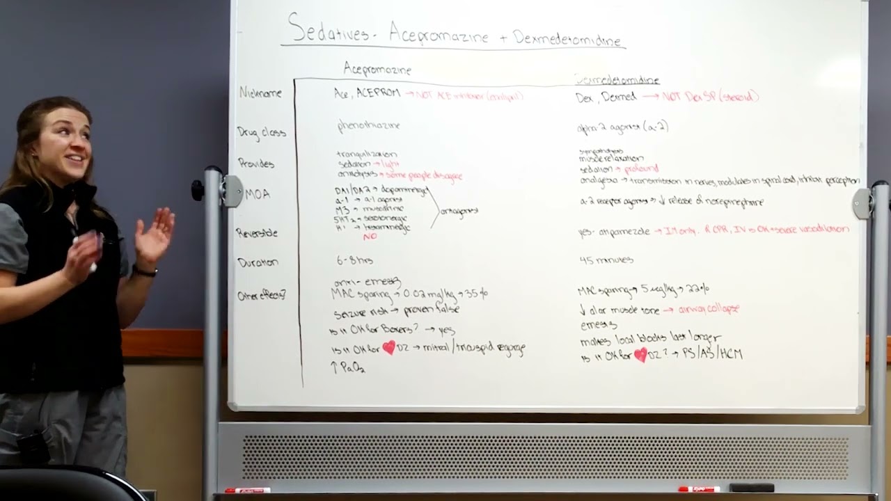 Sedatives: Acepromazine + Dexmedetomidine