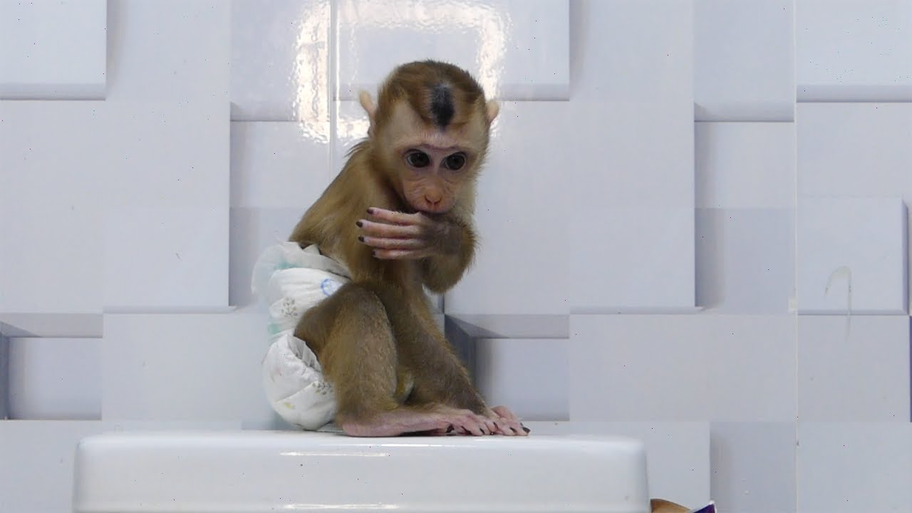 Harry Escape Mom To Sit On Toilet Cover Not Want To Taking Bath