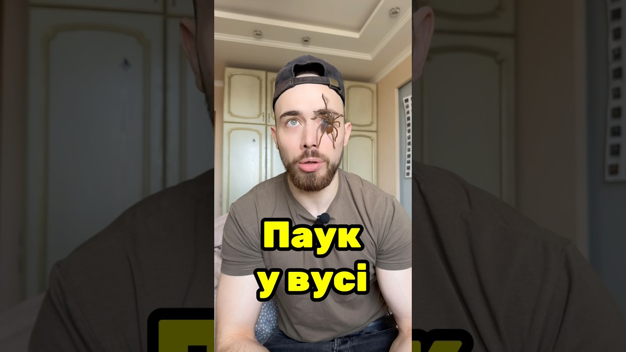 Павук на лиці