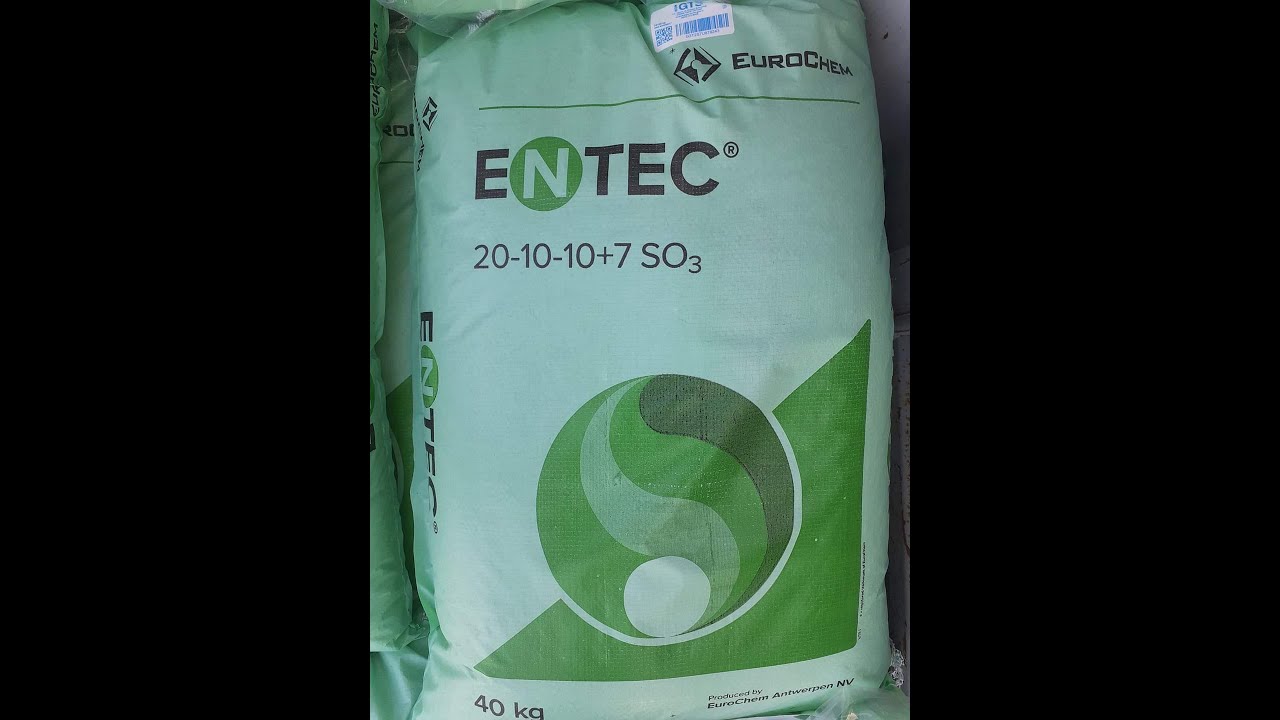 FINDIKTA ENTEC GÜBRE UYGULAMASI YAPIYORUZ-------WE ARE APPLYING ENTEC FERTILIZER IN HAZELNUT