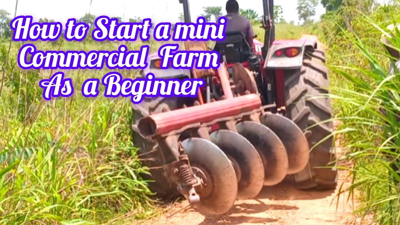 STARTING CASSAVA FARMING AS A BEGINNER IN GHANA 🇬🇭 || 10 Acres Farm LAND